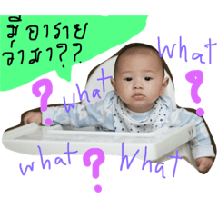 [LINEスタンプ] the jom ver1