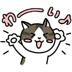 [LINEスタンプ] ネコのなっちゃん