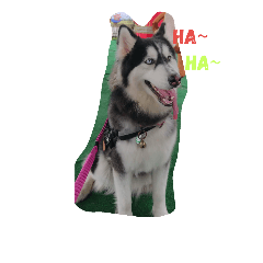 [LINEスタンプ] Ha~Ha~Dog