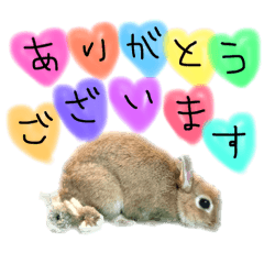 [LINEスタンプ] カラフルな一言