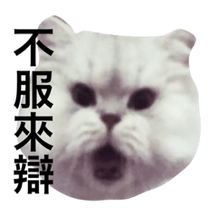 [LINEスタンプ] Tianscats