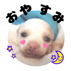 [LINEスタンプ] ヴィーガンの保護犬 日本語版 NGO LIA公認