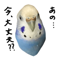 [LINEスタンプ] everyday opiyo