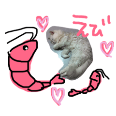 [LINEスタンプ] むーちゃん♡ヤンちゃん