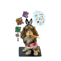 [LINEスタンプ] dachshund Coffee life