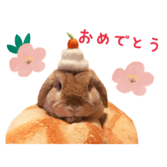 [LINEスタンプ] うさぎのまめたろう 2