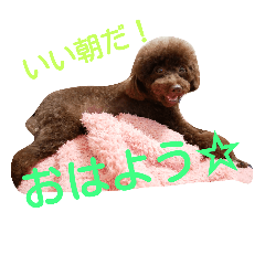 [LINEスタンプ] 毎日ガジュマル