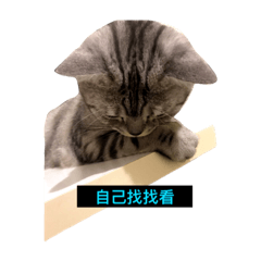 [LINEスタンプ] Bouren