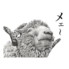 [LINEスタンプ] 俗っぽい動物たち