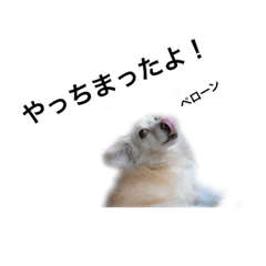 [LINEスタンプ] ミックス犬のスタンプ