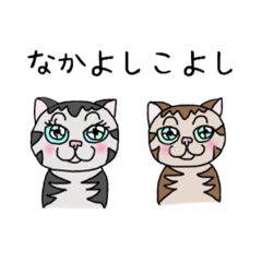 [LINEスタンプ] アメショのチュム