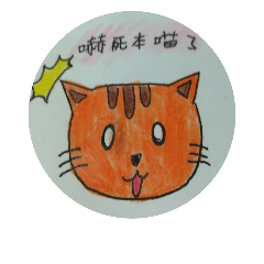 [LINEスタンプ] Orange  Kitten