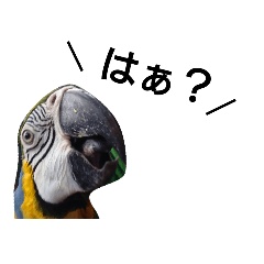 [LINEスタンプ] 何とも言えない動物たち