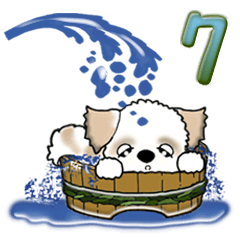 [LINEスタンプ] 【大きめ文字】シーズー犬の夏 Vol.7の画像（メイン）