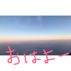 [LINEスタンプ] 愉快な仲間と旅をする