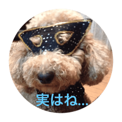 [LINEスタンプ] 犬ですけど、なにか？ 1