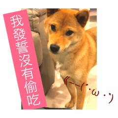 [LINEスタンプ] It is Aki lifestyle