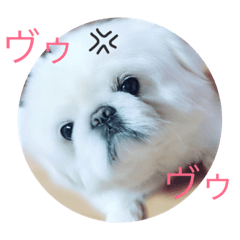 [LINEスタンプ] ペッキー