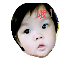 [LINEスタンプ] Wang momo