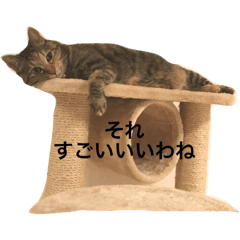 [LINEスタンプ] ニコニコドッグアンドキャット2