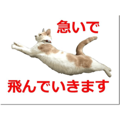 [LINEスタンプ] ミルクスタンプ7