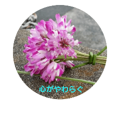 [LINEスタンプ] 花と花言葉