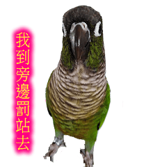 [LINEスタンプ] Seven parrots-Mark