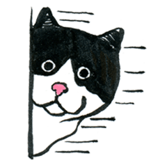 [LINEスタンプ] 可愛すぎる黒白猫みぃちゃんの毎日 中国語の画像（メイン）
