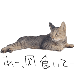 [LINEスタンプ] シュールな猫とウィンナー