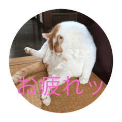 [LINEスタンプ] 腹ぺこぐう太郎