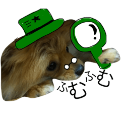 [LINEスタンプ] 犬 ポメラニアン