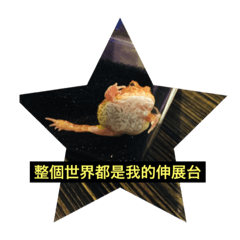 [LINEスタンプ] frogs daily