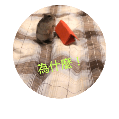 [LINEスタンプ] Maggie lovely Hamster