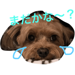 [LINEスタンプ] まるくんのHAPPY LIFE2