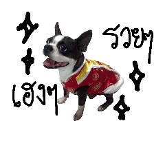 [LINEスタンプ] Dollar Boston Dog2