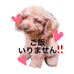 [LINEスタンプ] こてくクン2