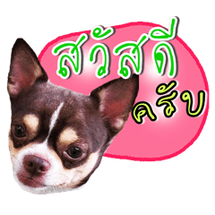 [LINEスタンプ] Dog Club No 8