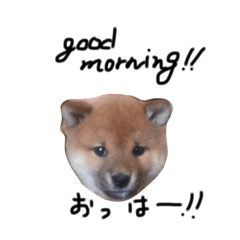 [LINEスタンプ] 百との毎日2nd