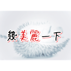 [LINEスタンプ] Singlish is the best