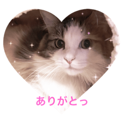 [LINEスタンプ] メロ吉(=^x^=)