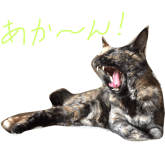 [LINEスタンプ] Funny Furries