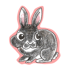 [LINEスタンプ] うちのかわいいペット