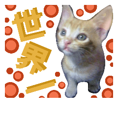 [LINEスタンプ] nya-gonya-go