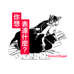 [LINEスタンプ] Two arguing cats