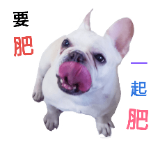 [LINEスタンプ] Daily habits of French bulldogs