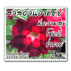 [LINEスタンプ] Stamp for Greetings