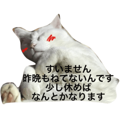 [LINEスタンプ] シロちゃん・執事編