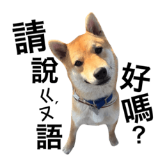 [LINEスタンプ] Shiba No