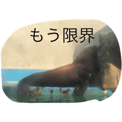 [LINEスタンプ] talkanimal