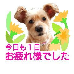 [LINEスタンプ] 春ですね挨拶スタンプ♪